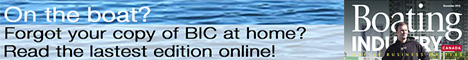 BIC Digital Versions